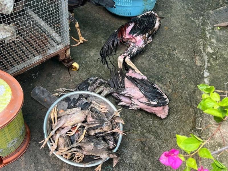 TP.HCM: Nhiều căn nhà tỉnh lộ 43 ngập nặng, 50 hộ dân bị ảnh hưởng - Ảnh 3.