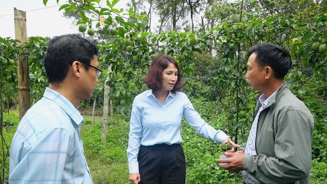 Măng Đen bắt tay doanh nghiệp kiến tạo vùng nguyên liệu xanh- Ảnh 2.