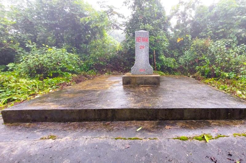  - Ảnh 5.