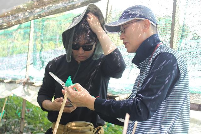 Nghiên cứu sâm Việt: Khám phá Điểm yếu chí tử cản trở phát triển bền vững - Ảnh 2.