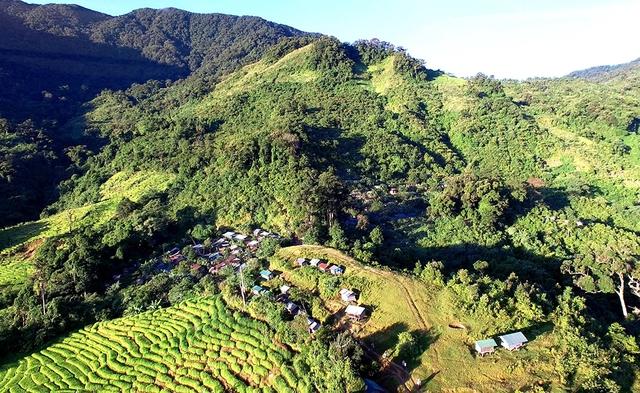 'Phu sâm' ở núi Ngọc Linh - Ảnh 1.