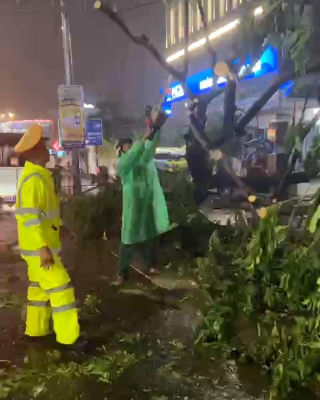 Đà Nẵng: Cây xanh bật gốc giữa phố, đè trúng xe máy trong mưa lớn- Ảnh 3.