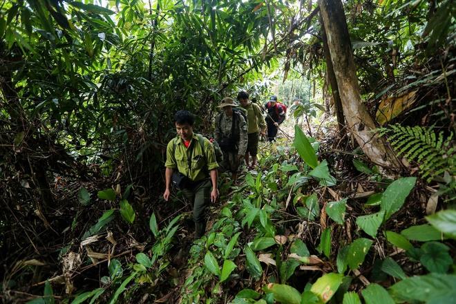 'Biệt đội bẫy ảnh' săn tìm dấu chân thú hoang- Ảnh 7.
