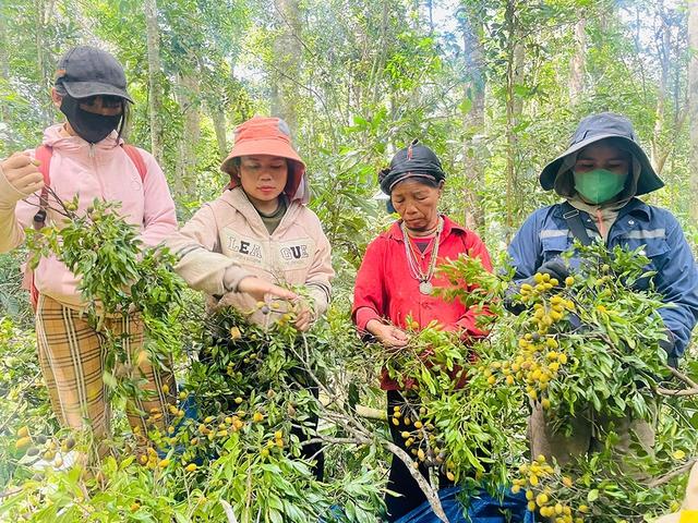 Thung sâu mùa xoay chín - Ảnh 3.