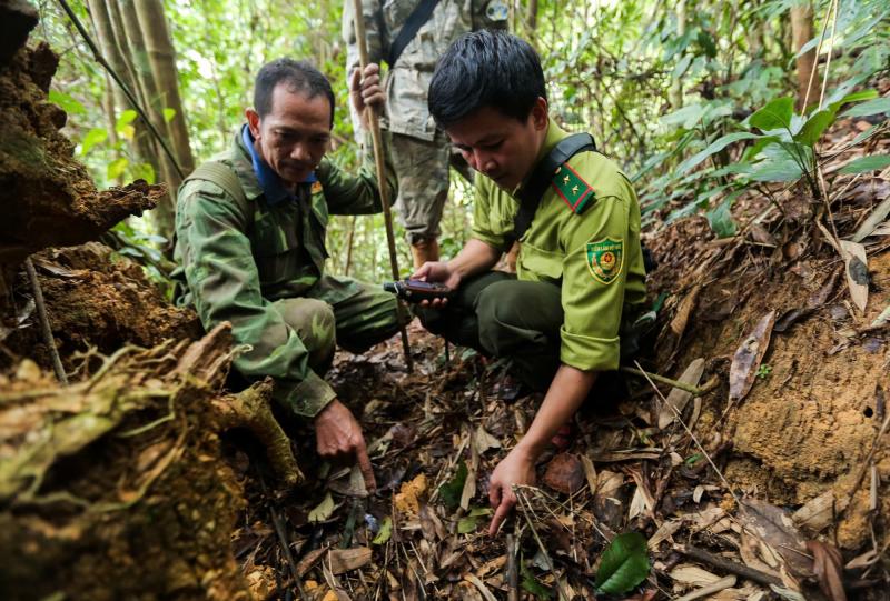 'Biệt đội bẫy ảnh' săn tìm dấu chân thú hoang- Ảnh 9.
