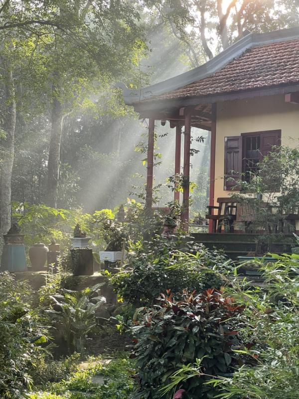 Chùa Tăng Hội, ngôi nhà tâm linh giữa lòng Đồng Nai - Ảnh 11.
