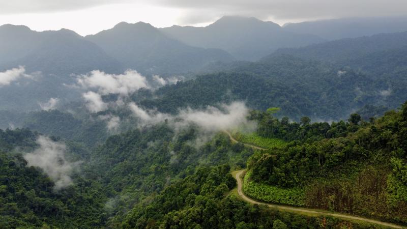 'Biệt đội bẫy ảnh' săn tìm dấu chân thú hoang- Ảnh 17.