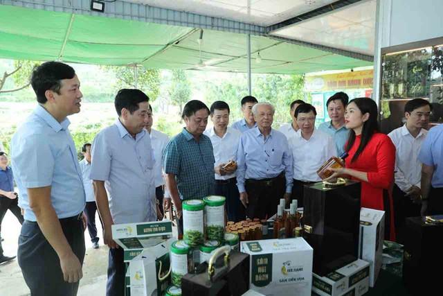 Dưới tán lá rừng , tương lai ngành dược liệu việt nam đang hé mở - Ảnh 1. Dưới tán lá rừng , tương lai ngành dược liệu việt nam đang hé mở - Ảnh 1.