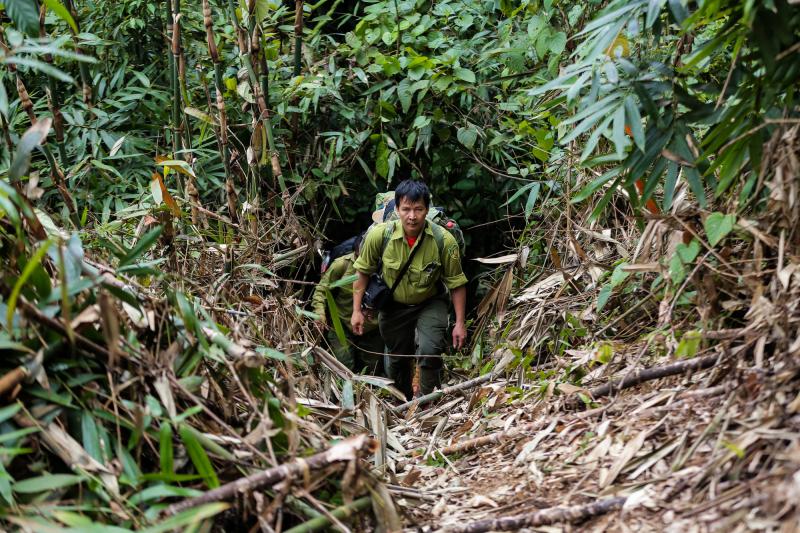 'Biệt đội bẫy ảnh' săn tìm dấu chân thú hoang- Ảnh 4.
