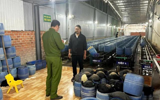 4 bị cáo lãnh án tù trong vụ giá đỗ ngâm chất cấm ở Đắk Lắk - Ảnh 1.