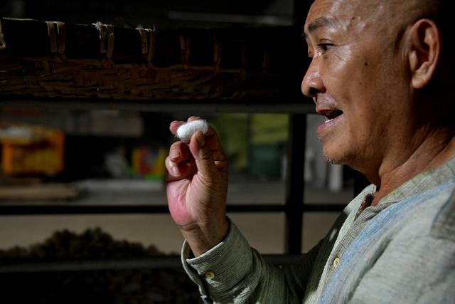 Tín hiệu vui từ xứ tơ tằm Bảo Lộc - Ảnh 3.