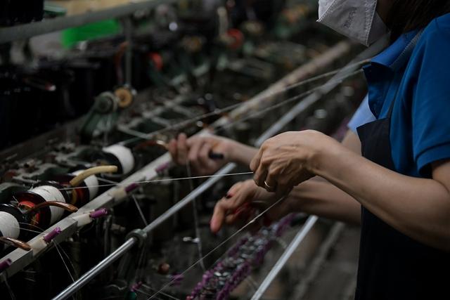 Tín hiệu vui từ xứ tơ tằm Bảo Lộc - Ảnh 8.