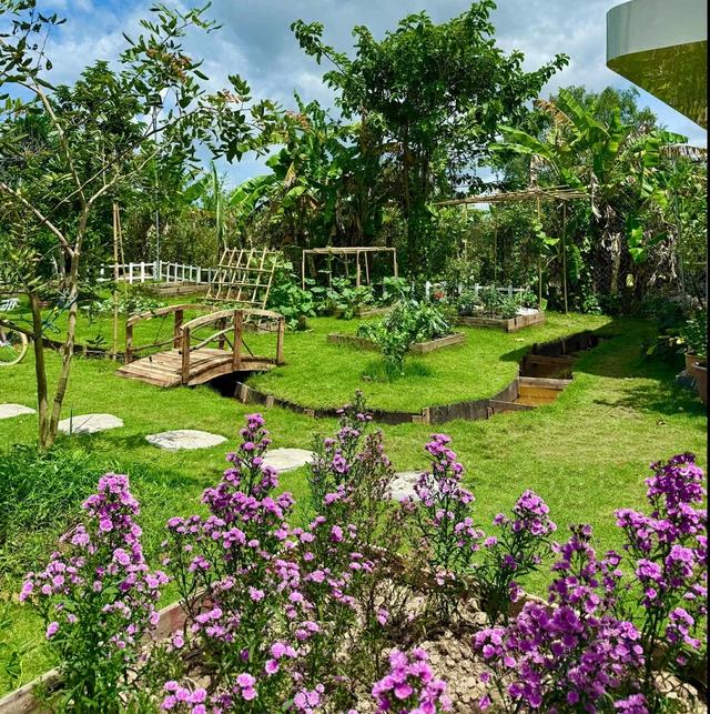 Nhờ ChatGPT thiết kế vườn đẹp, cô gái nhận được cái kết bất ngờ- Ảnh 11.