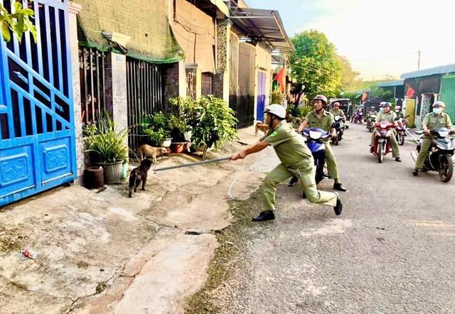 Tử vong vì chủ quan với chó nhà- Ảnh 4.