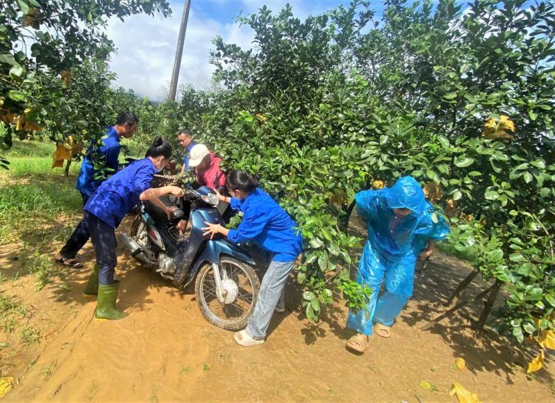 Hỗ trợ thu hoạch bưởi Phúc Trạch sau khi bão số 6 gây ngập úng - Ảnh 8.