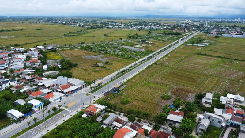 Hàng loạt cây xanh tại dự án đường hơn 370 tỉ ở Huế chết khô- Ảnh 1.