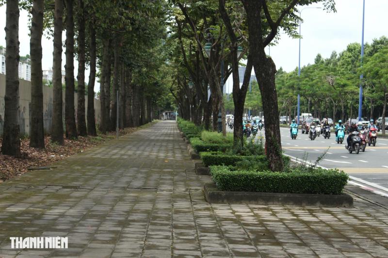Cận cảnh đường có làn riêng cho xe đạp ở TP.HCM: Rộng và mát mẻ - Ảnh 1.