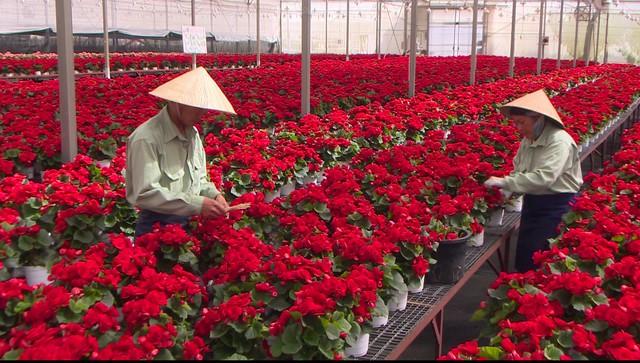 Dalat Hasfarm mua lại 100% cổ phần của Lynch Group- Ảnh 1.
