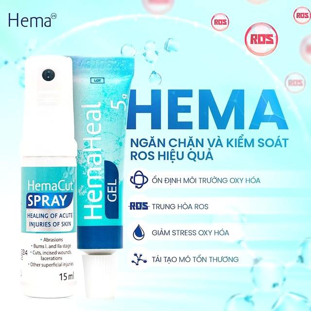 Hema - Tác động sâu vào tiến trình lành thương- Ảnh 3.