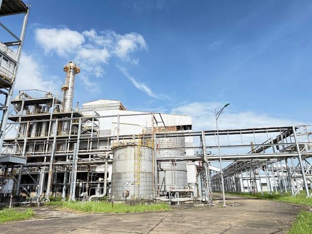 Tái khởi động Nhà máy nhiên liệu sinh học Dung Quất vào tháng 11.2025- Ảnh 1.