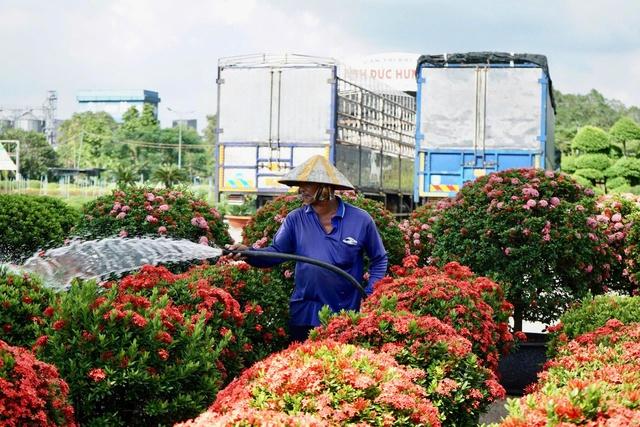 Dấu ấn Sa Đéc: Từ làng hoa, nhà cổ đến trung tâm du lịch Đồng Tháp- Ảnh 4.