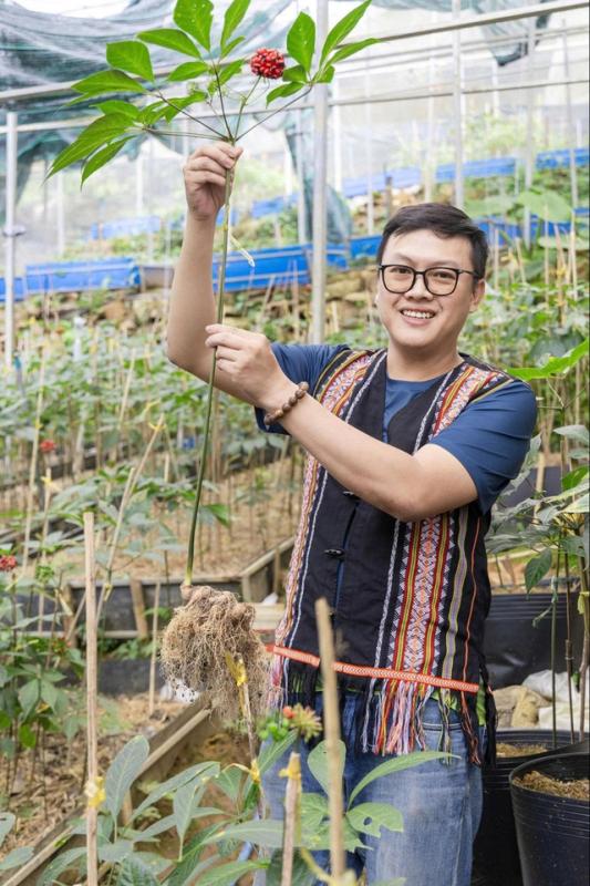 Nghiên cứu sâm Việt: Khám phá Điểm yếu chí tử cản trở phát triển bền vững - Ảnh 5.
