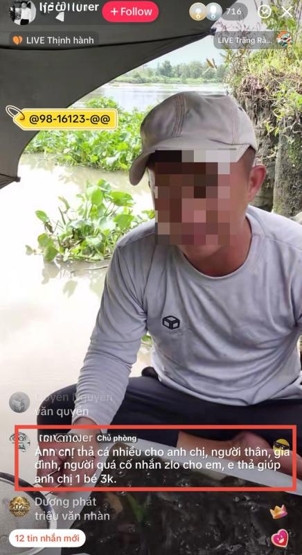 Tháng 7 âm lịch, phóng sinh giùm qua livestream: Tranh cãi gay gắt - Ảnh 2.