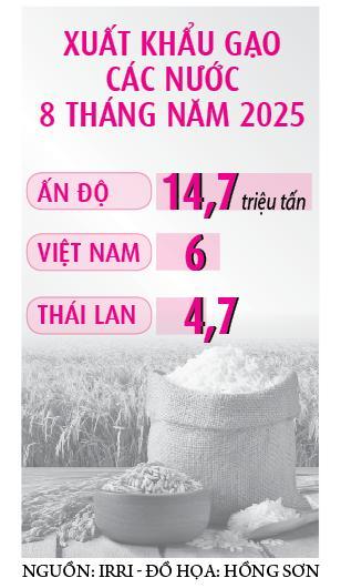 Doanh nghiệp than kẹt vốn mua dự trữ gạo- Ảnh 2.