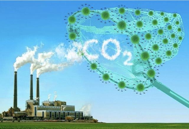 Việt Nam xây dựng hệ sinh thái xanh- Ảnh 2.