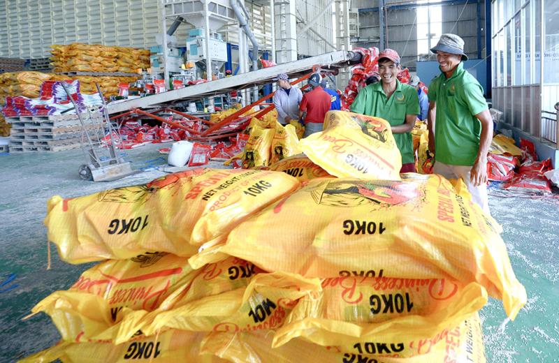Giá lúa gạo đã tăng trở lại- Ảnh 1.