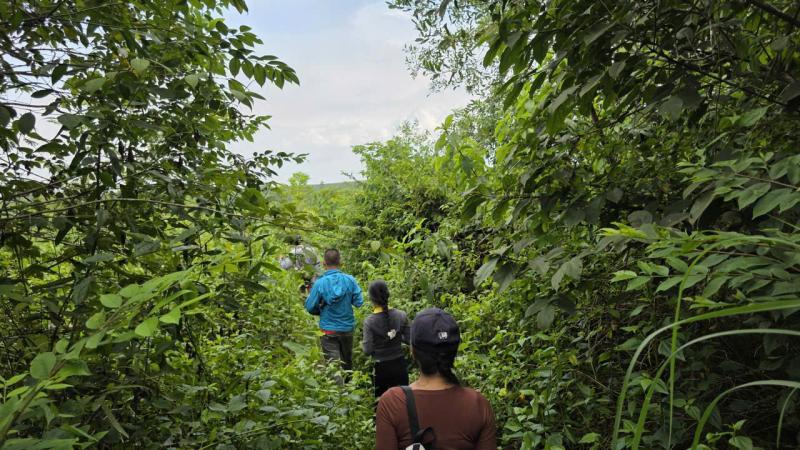 Hái nho rừng mưu sinh cạnh sân bay Long Thành - Ảnh 12.
