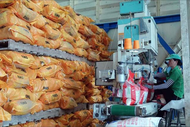 Gạo Việt vững vàng giữa sóng gió thị trường thế giới- Ảnh 1.