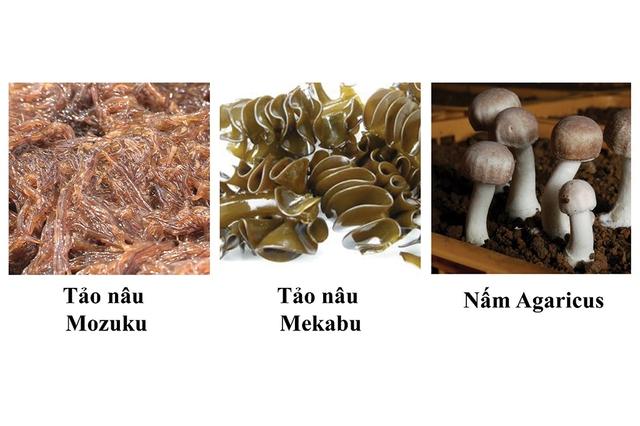  - Ảnh 1.