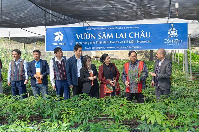 Nghiên cứu sâm Việt: Khám phá Điểm yếu chí tử cản trở phát triển bền vững - Ảnh 1.