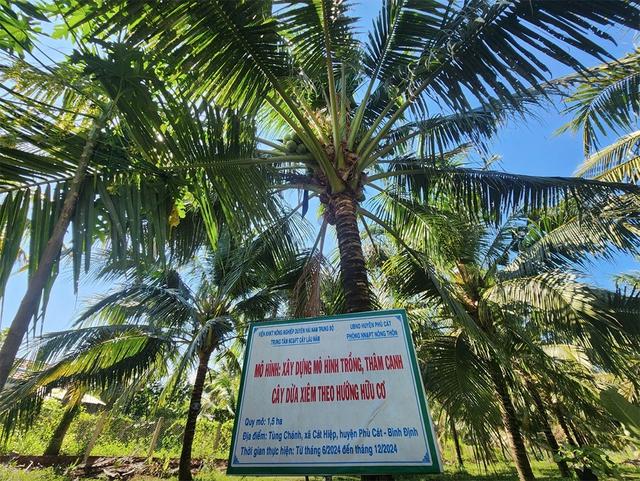 Đưa dừa thành ngành công nghiệp tỉ USD- Ảnh 2.