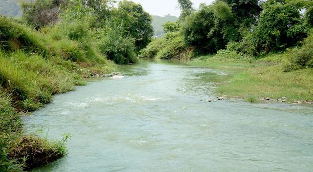 Xanh lại suối làng- Ảnh 3.