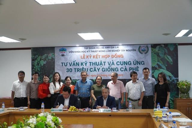 HAGL cà phê mở rộng diện tích trồng lên 10 ngàn ha tại Việt Nam và Lào - Ảnh 1.
