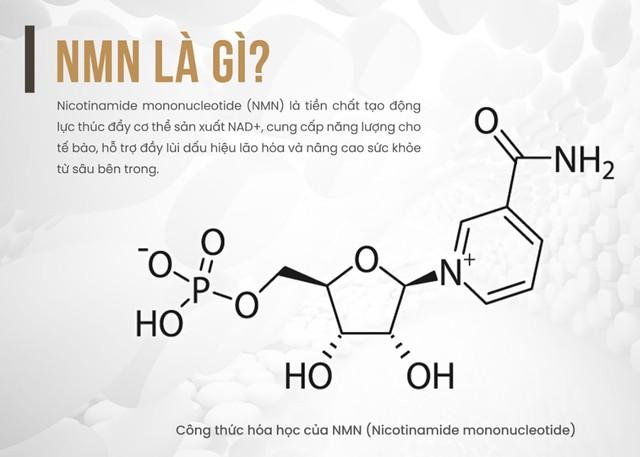  - Ảnh 3.