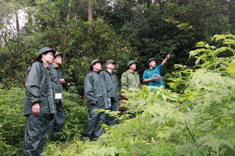 Đà Nẵng khắc phục sạt lở bờ biển Hội An sau bão số 12 - Ảnh 8.