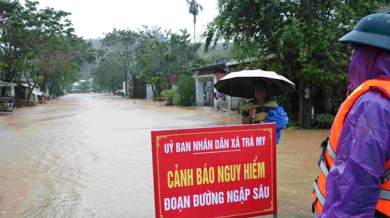  - Ảnh 5.