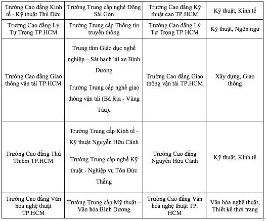 Phương án dự kiến sáp nhập hơn 30 đại học, cao đẳng, trung cấp của TP.HCM - Ảnh 3.
