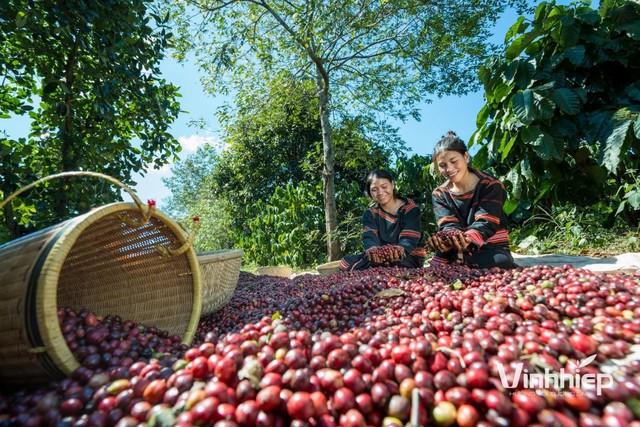 Vĩnh Hiệp Gia Lai lập ‘cú đúp’ vinh danh Doanh nghiệp xuất sắc châu Á 2025 - Ảnh 2.