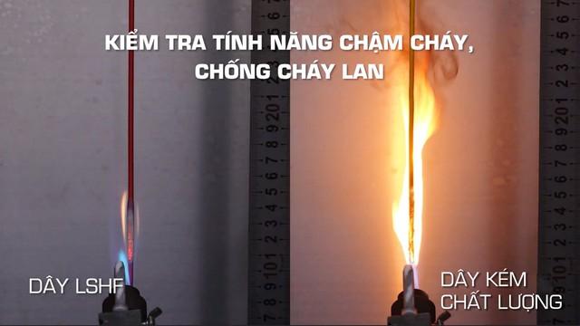  - Ảnh 2.