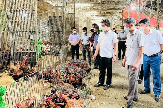 6 tháng đầu năm, Hà Nội xuất khẩu nông - lâm - thủy sản đạt 834 triệu USD- Ảnh 2.