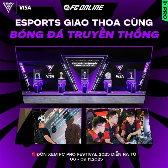 Việt Nam đăng cai FC Pro Festival 2025, chào đón huyền thoại Ricardo Kaká và Luís Figo- Ảnh 2.