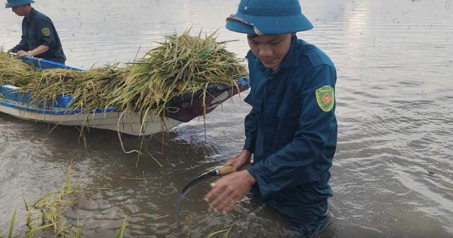 Nông dân thấp thỏm vì mưa lũ bất thường- Ảnh 2.