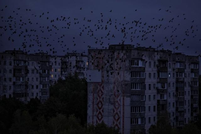 Chiến sự Ukraine ngày 1.318: Nga tận dụng sương mù tấn công cầu Ukraine - Ảnh 1.