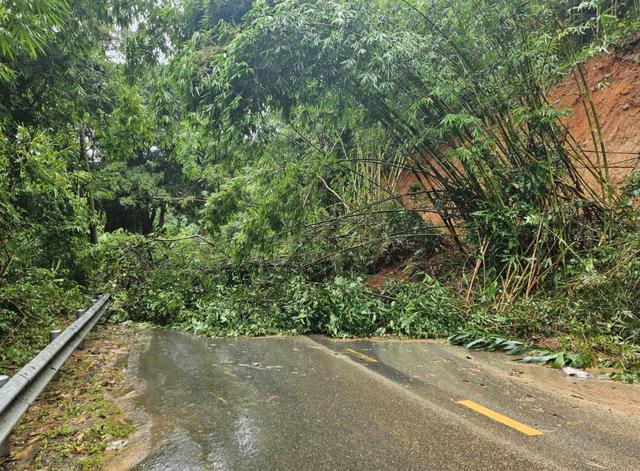 Sạt lở đèo Gia Bắc nghiêm trọng gây tê liệt QL28 nối Phan Thiết với Di Linh - Ảnh 4.