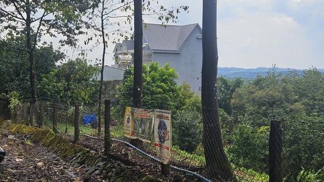 Vụ 3 người trong một gia đình tử vong: Đã bắt được nghi phạm - Ảnh 1.