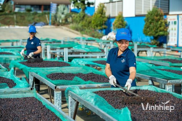 Vĩnh Hiệp Gia Lai lập ‘cú đúp’ vinh danh Doanh nghiệp xuất sắc châu Á 2025 - Ảnh 3.